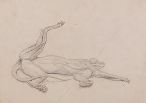 Uma exposição anatômica comparativa da estrutura do corpo humano com a de um tigre e uma co ...